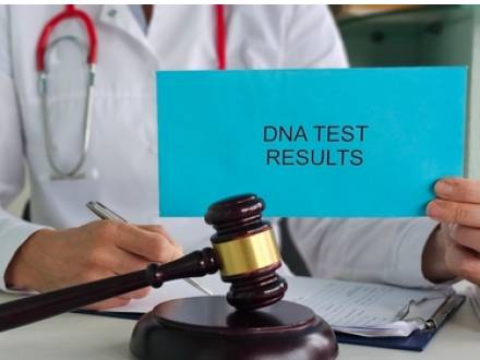 Batavia, IL child support attorney